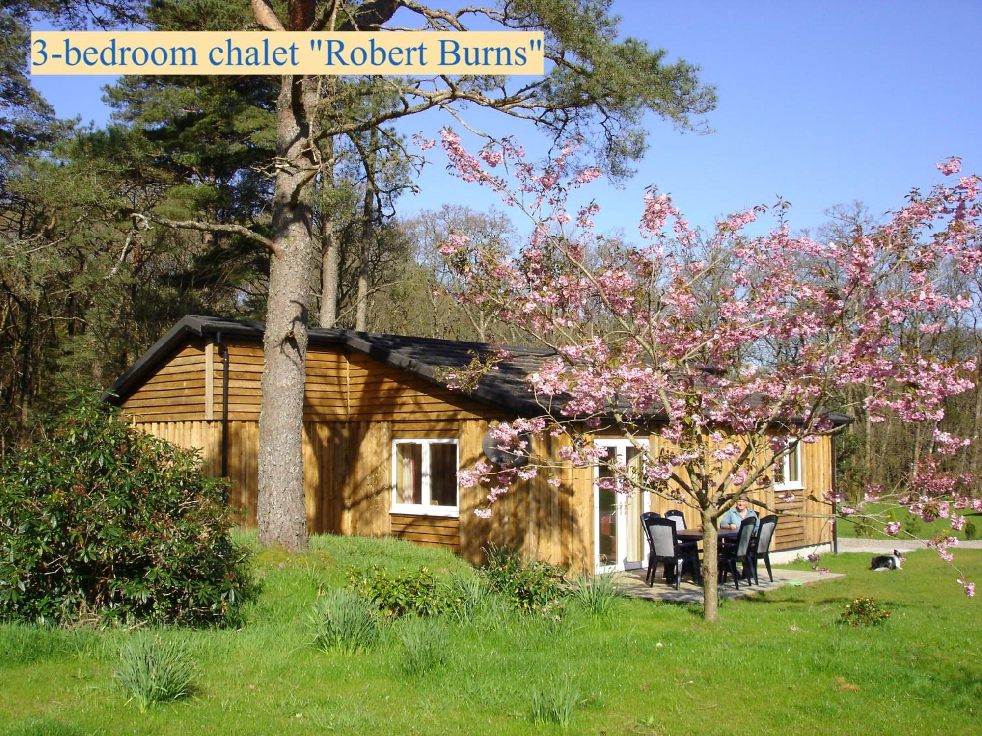 Airdeny Chalets Taynuilt Ruang foto
